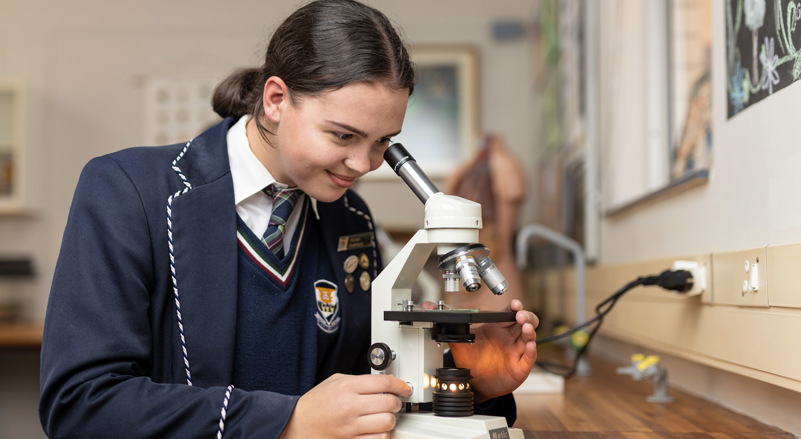 Woodhill College, Curro Woodhill College, Curro school, Curro fees, private schools near me, best private school, enrol for 2025, schools with space